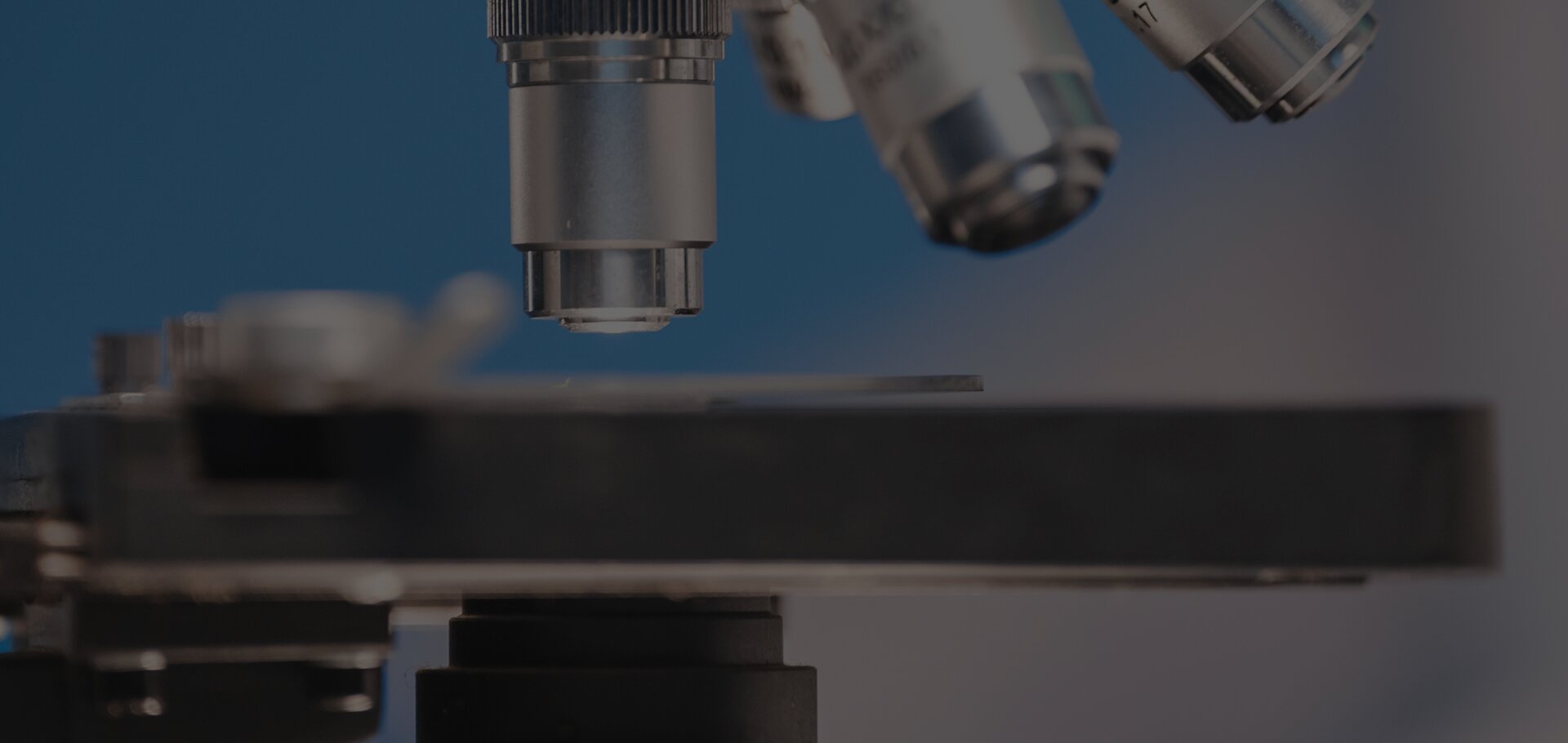 Peptide Synthesis & CDMO Services Provider