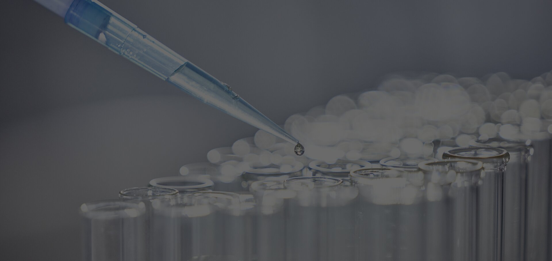 Peptide Synthesis & CDMO Services Provider
